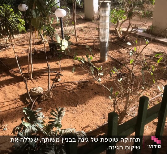 גינה עם צמחים, אדמה וכלי גינון
